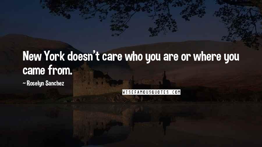 Roselyn Sanchez Quotes: New York doesn't care who you are or where you came from.