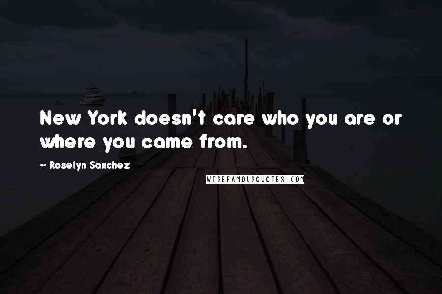 Roselyn Sanchez Quotes: New York doesn't care who you are or where you came from.