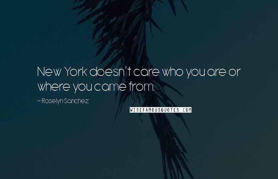 Roselyn Sanchez Quotes: New York doesn't care who you are or where you came from.