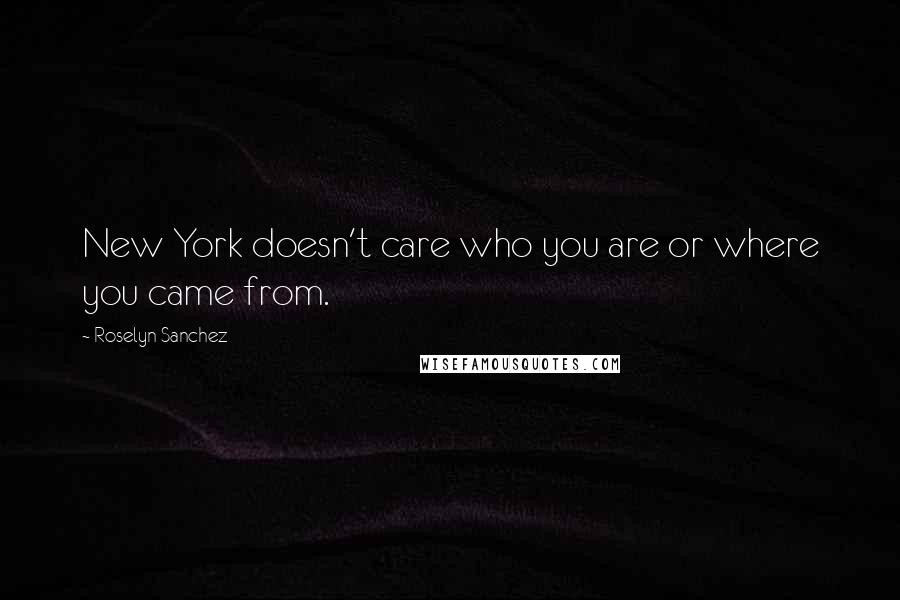 Roselyn Sanchez Quotes: New York doesn't care who you are or where you came from.