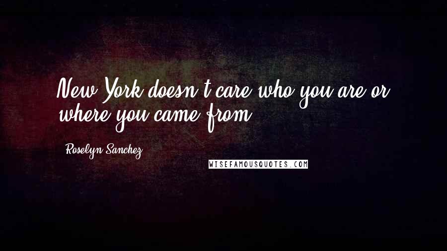 Roselyn Sanchez Quotes: New York doesn't care who you are or where you came from.