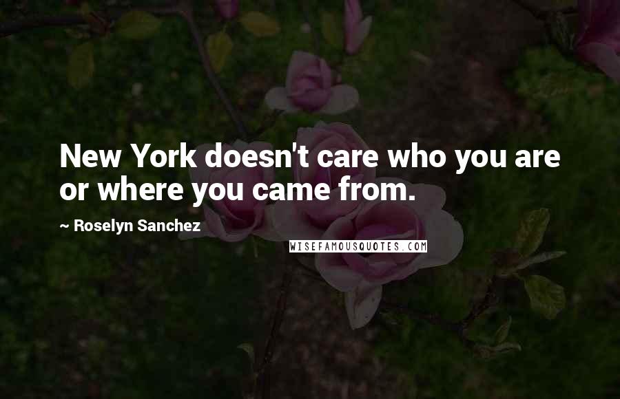 Roselyn Sanchez Quotes: New York doesn't care who you are or where you came from.