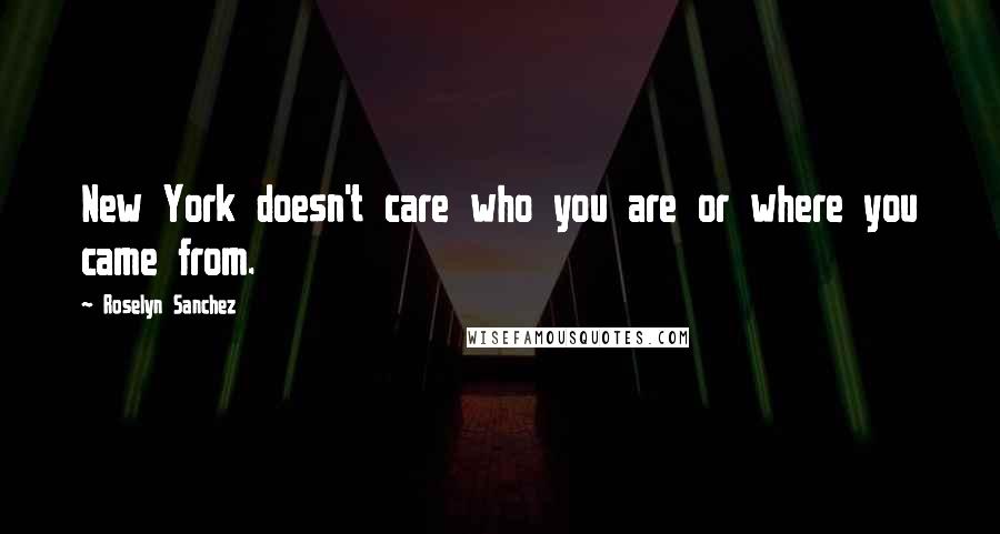 Roselyn Sanchez Quotes: New York doesn't care who you are or where you came from.