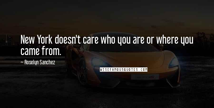 Roselyn Sanchez Quotes: New York doesn't care who you are or where you came from.