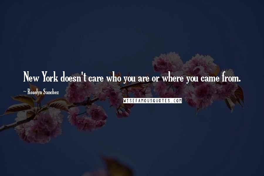 Roselyn Sanchez Quotes: New York doesn't care who you are or where you came from.