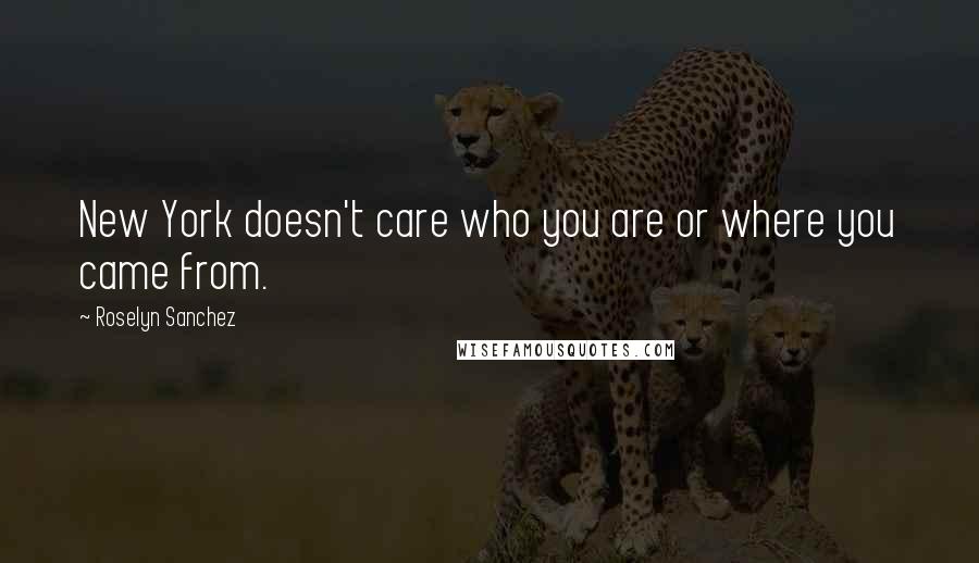 Roselyn Sanchez Quotes: New York doesn't care who you are or where you came from.