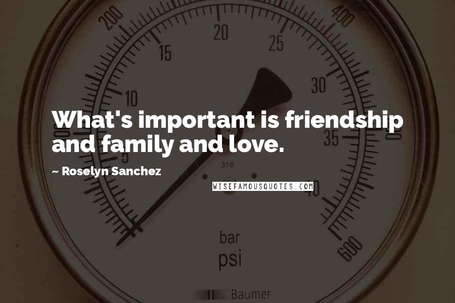 Roselyn Sanchez Quotes: What's important is friendship and family and love.