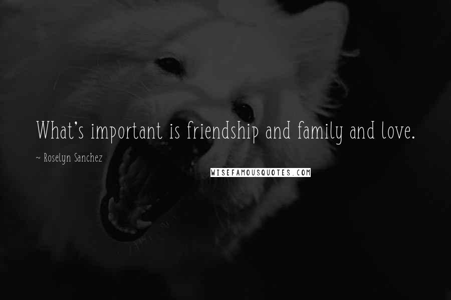 Roselyn Sanchez Quotes: What's important is friendship and family and love.