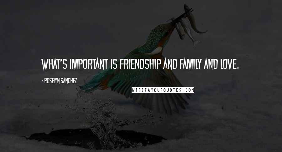 Roselyn Sanchez Quotes: What's important is friendship and family and love.