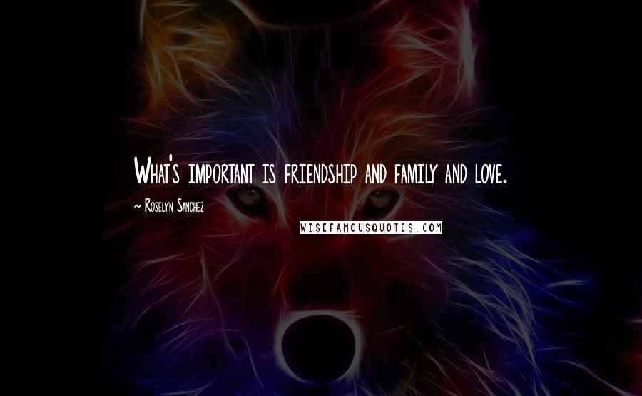 Roselyn Sanchez Quotes: What's important is friendship and family and love.