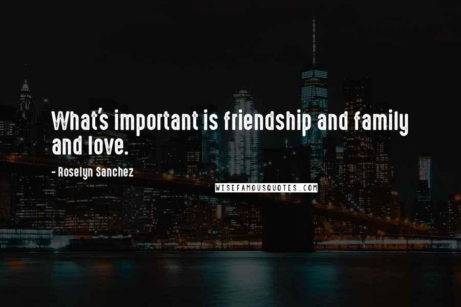 Roselyn Sanchez Quotes: What's important is friendship and family and love.