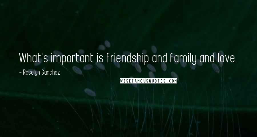 Roselyn Sanchez Quotes: What's important is friendship and family and love.