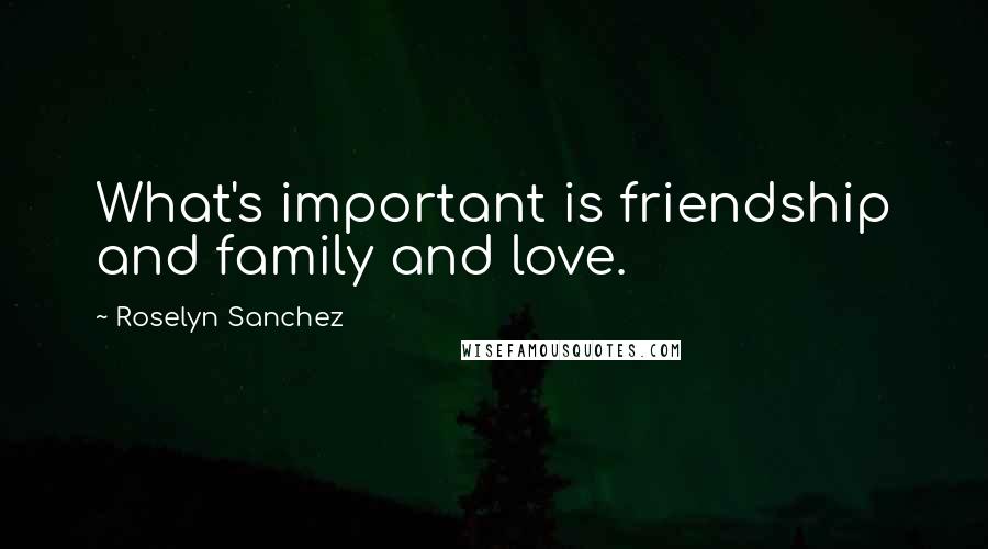 Roselyn Sanchez Quotes: What's important is friendship and family and love.