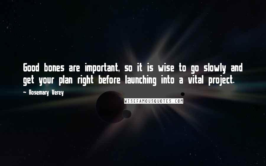 Rosemary Verey Quotes: Good bones are important, so it is wise to go slowly and get your plan right before launching into a vital project.