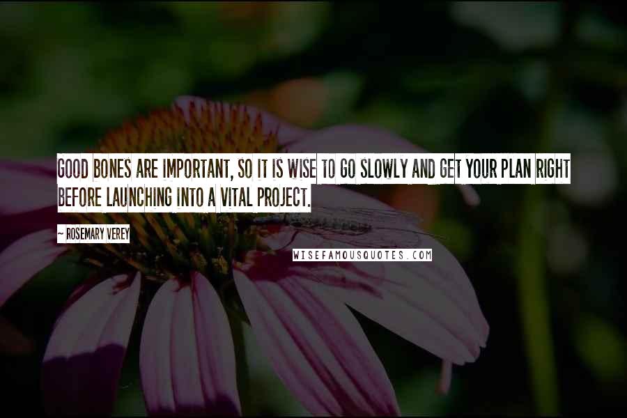 Rosemary Verey Quotes: Good bones are important, so it is wise to go slowly and get your plan right before launching into a vital project.