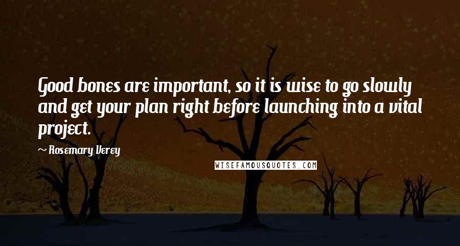 Rosemary Verey Quotes: Good bones are important, so it is wise to go slowly and get your plan right before launching into a vital project.