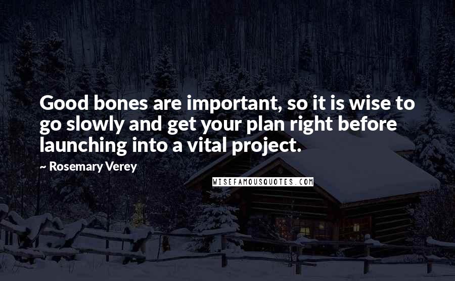 Rosemary Verey Quotes: Good bones are important, so it is wise to go slowly and get your plan right before launching into a vital project.