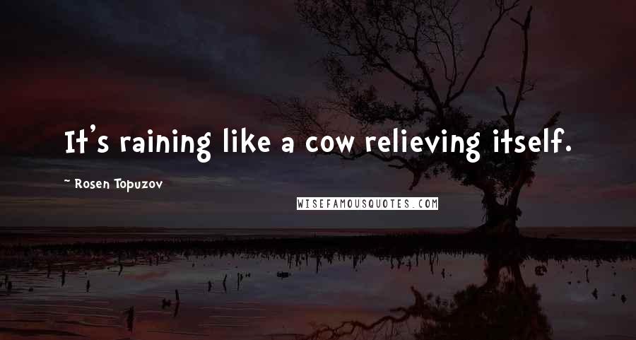 Rosen Topuzov Quotes: It's raining like a cow relieving itself.