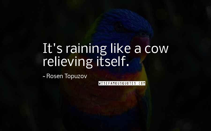 Rosen Topuzov Quotes: It's raining like a cow relieving itself.