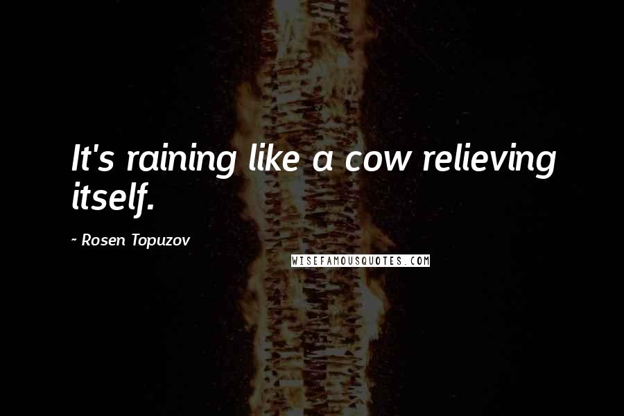 Rosen Topuzov Quotes: It's raining like a cow relieving itself.