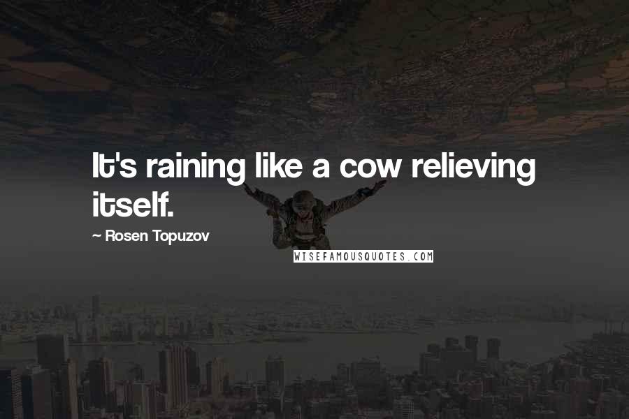 Rosen Topuzov Quotes: It's raining like a cow relieving itself.