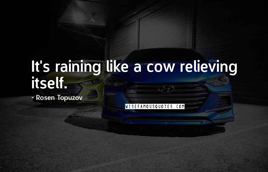 Rosen Topuzov Quotes: It's raining like a cow relieving itself.