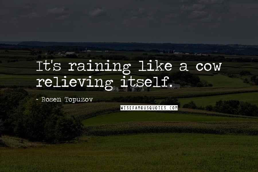 Rosen Topuzov Quotes: It's raining like a cow relieving itself.