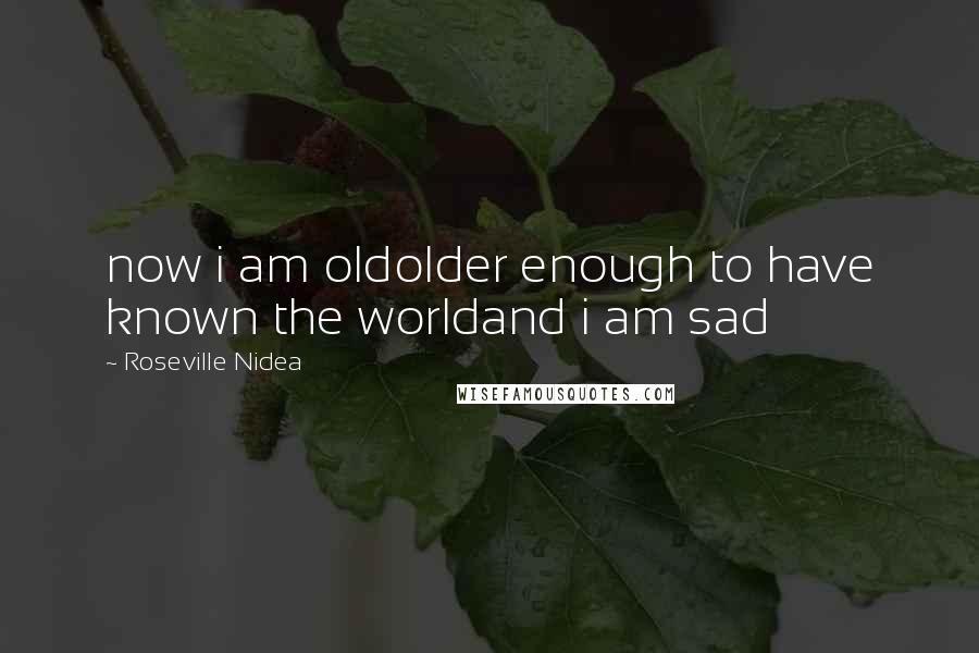 Roseville Nidea Quotes: now i am oldolder enough to have known the worldand i am sad