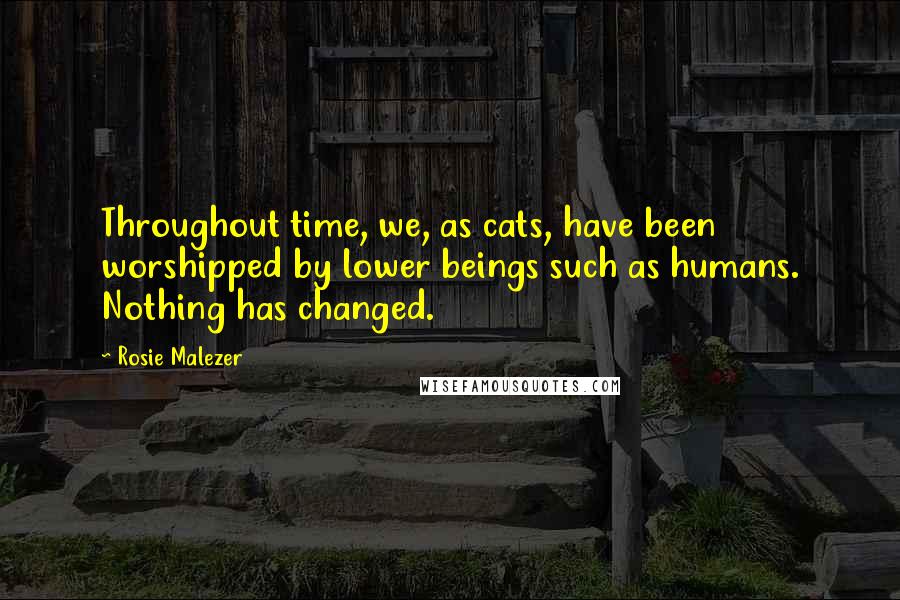Rosie Malezer Quotes: Throughout time, we, as cats, have been worshipped by lower beings such as humans. Nothing has changed.