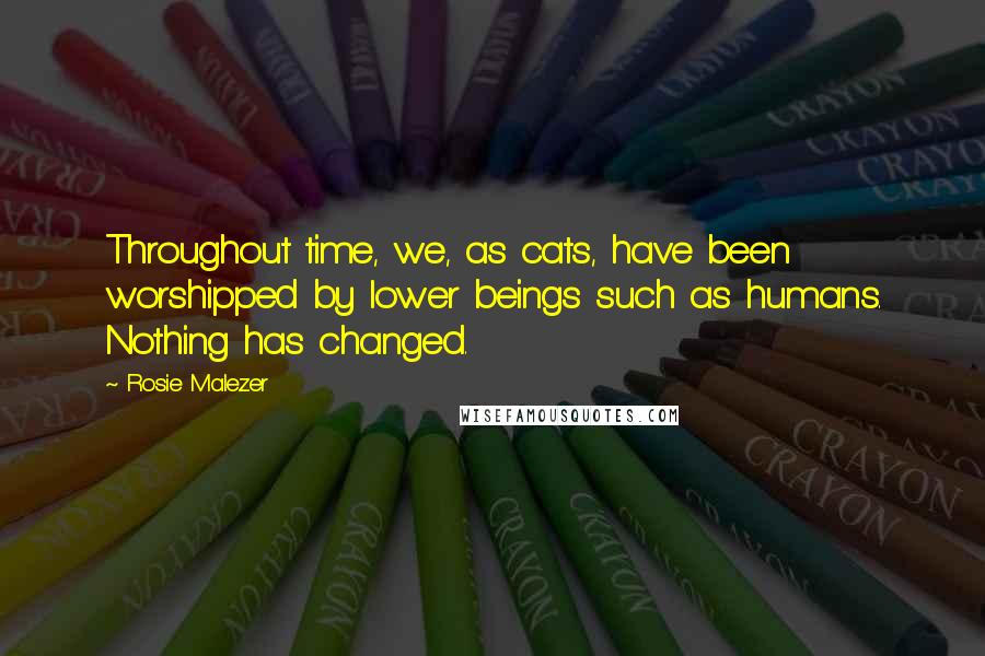 Rosie Malezer Quotes: Throughout time, we, as cats, have been worshipped by lower beings such as humans. Nothing has changed.