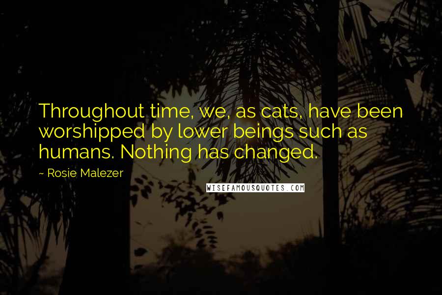 Rosie Malezer Quotes: Throughout time, we, as cats, have been worshipped by lower beings such as humans. Nothing has changed.