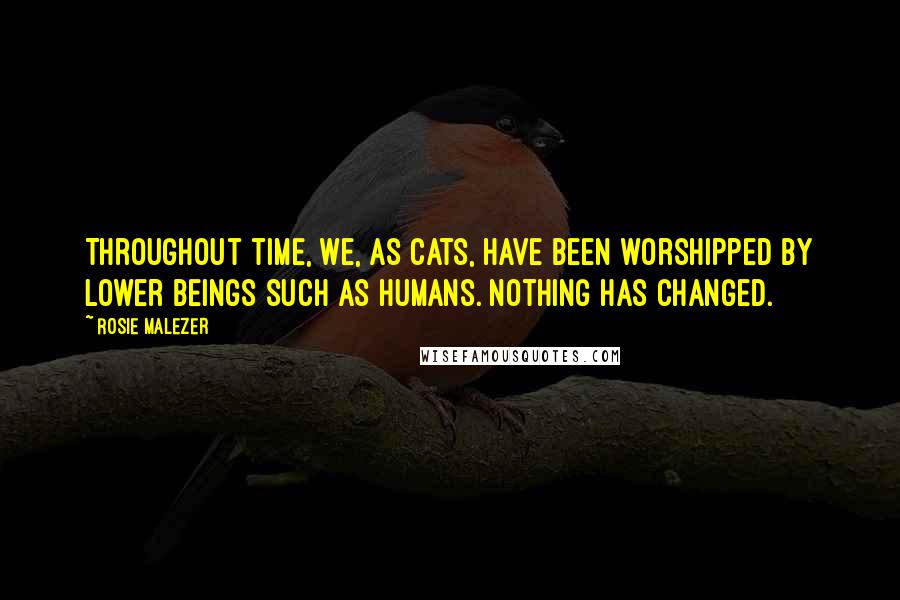 Rosie Malezer Quotes: Throughout time, we, as cats, have been worshipped by lower beings such as humans. Nothing has changed.