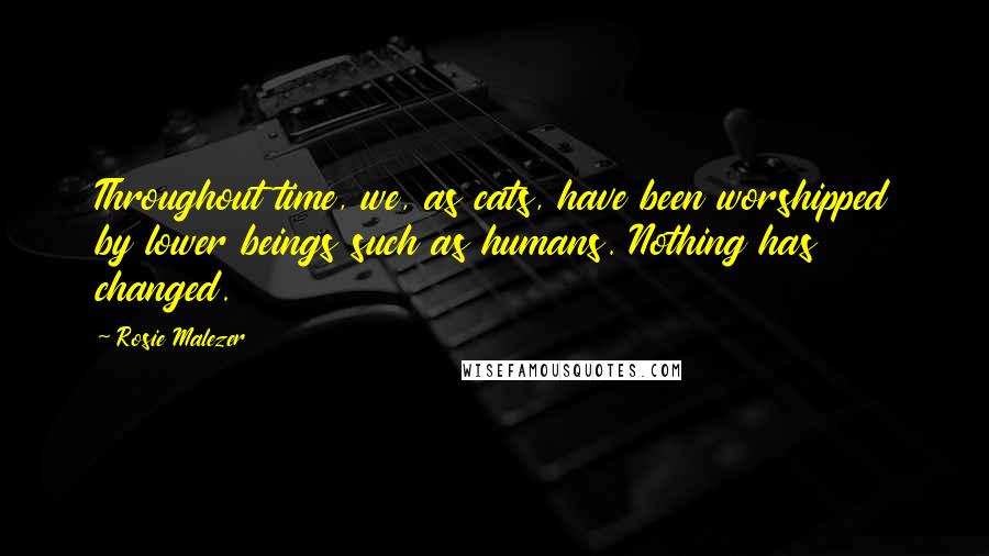 Rosie Malezer Quotes: Throughout time, we, as cats, have been worshipped by lower beings such as humans. Nothing has changed.