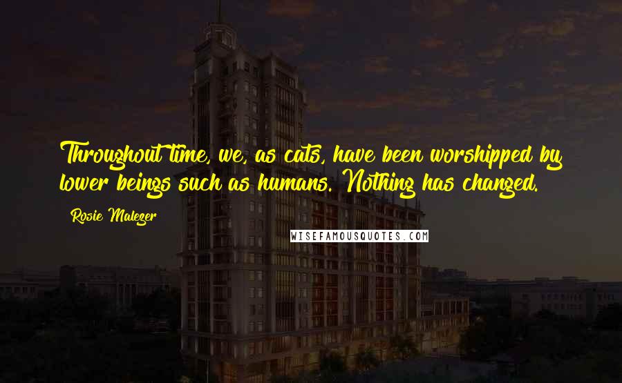 Rosie Malezer Quotes: Throughout time, we, as cats, have been worshipped by lower beings such as humans. Nothing has changed.