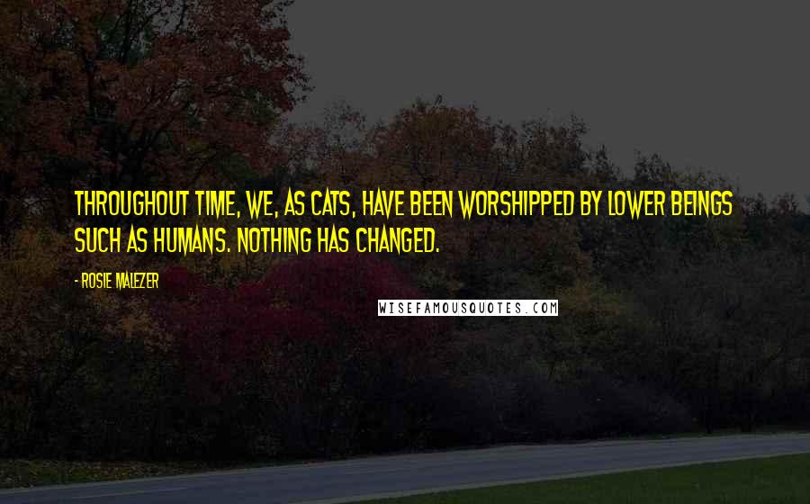 Rosie Malezer Quotes: Throughout time, we, as cats, have been worshipped by lower beings such as humans. Nothing has changed.