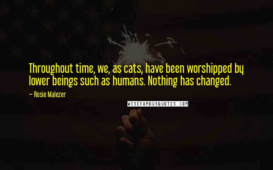 Rosie Malezer Quotes: Throughout time, we, as cats, have been worshipped by lower beings such as humans. Nothing has changed.