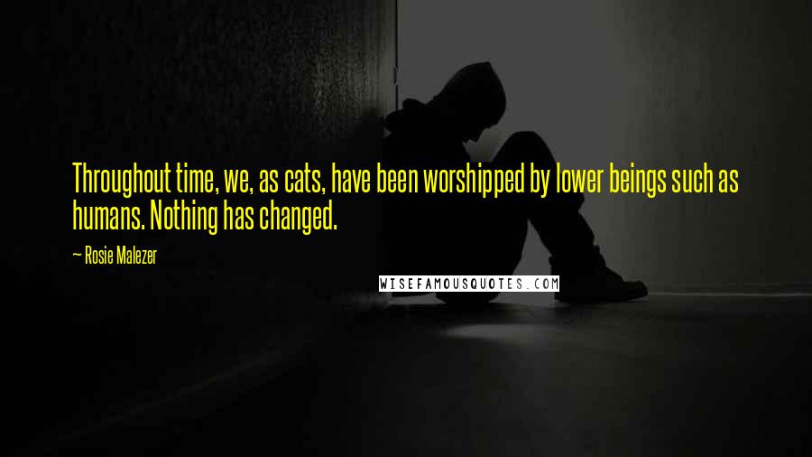 Rosie Malezer Quotes: Throughout time, we, as cats, have been worshipped by lower beings such as humans. Nothing has changed.