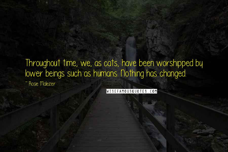 Rosie Malezer Quotes: Throughout time, we, as cats, have been worshipped by lower beings such as humans. Nothing has changed.