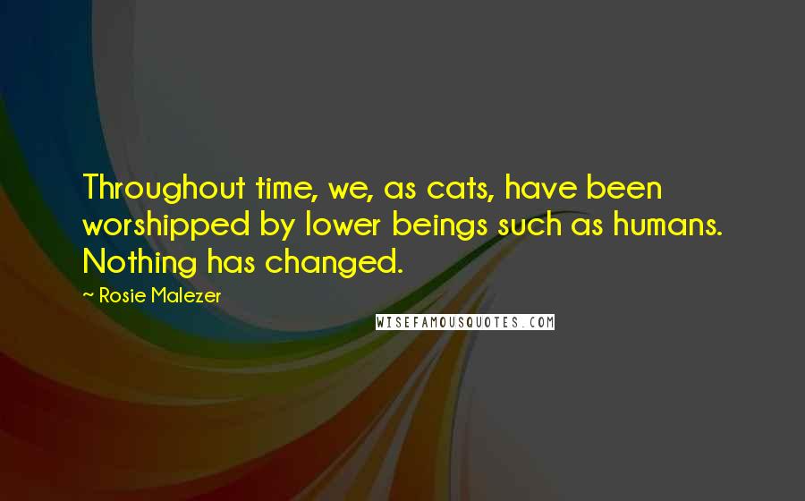 Rosie Malezer Quotes: Throughout time, we, as cats, have been worshipped by lower beings such as humans. Nothing has changed.