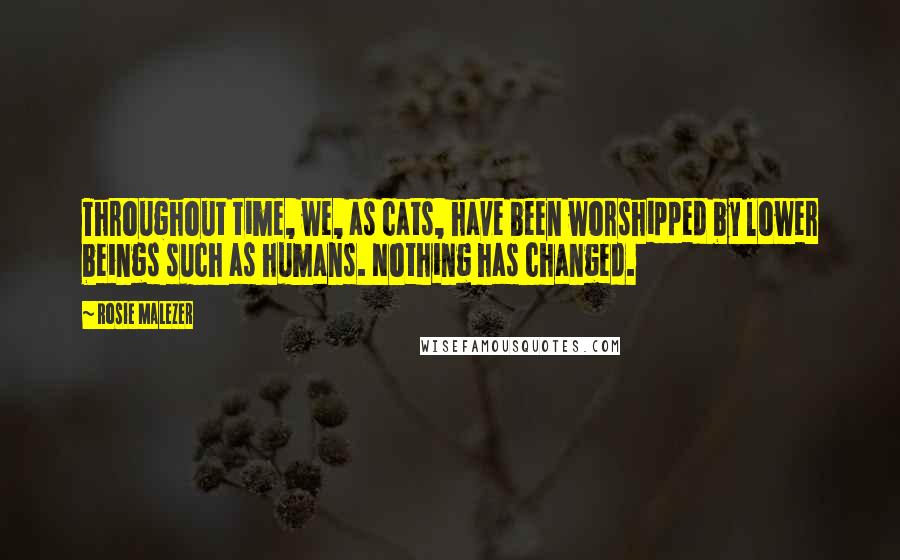 Rosie Malezer Quotes: Throughout time, we, as cats, have been worshipped by lower beings such as humans. Nothing has changed.