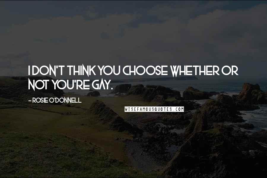 Rosie O'Donnell Quotes: I don't think you choose whether or not you're gay.
