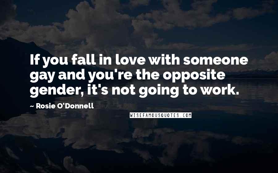 Rosie O'Donnell Quotes: If you fall in love with someone gay and you're the opposite gender, it's not going to work.