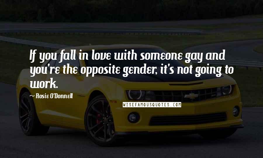 Rosie O'Donnell Quotes: If you fall in love with someone gay and you're the opposite gender, it's not going to work.