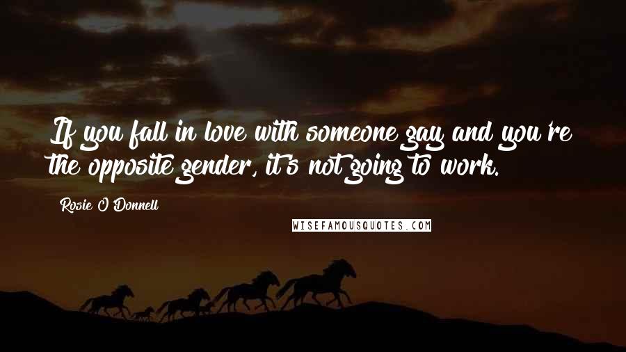 Rosie O'Donnell Quotes: If you fall in love with someone gay and you're the opposite gender, it's not going to work.