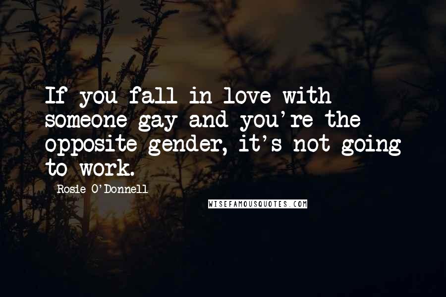 Rosie O'Donnell Quotes: If you fall in love with someone gay and you're the opposite gender, it's not going to work.