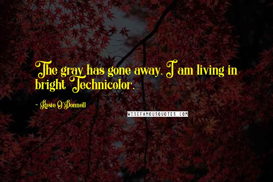 Rosie O'Donnell Quotes: The gray has gone away. I am living in bright Technicolor.