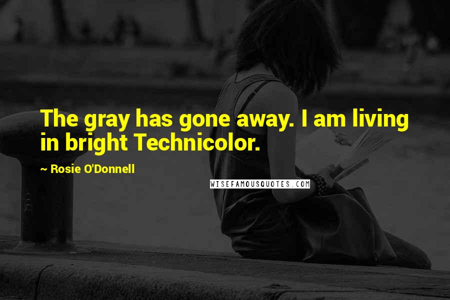 Rosie O'Donnell Quotes: The gray has gone away. I am living in bright Technicolor.