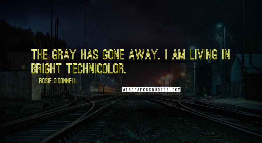 Rosie O'Donnell Quotes: The gray has gone away. I am living in bright Technicolor.