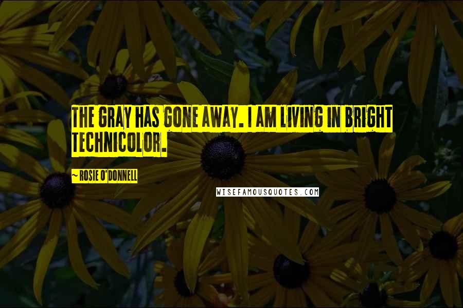 Rosie O'Donnell Quotes: The gray has gone away. I am living in bright Technicolor.