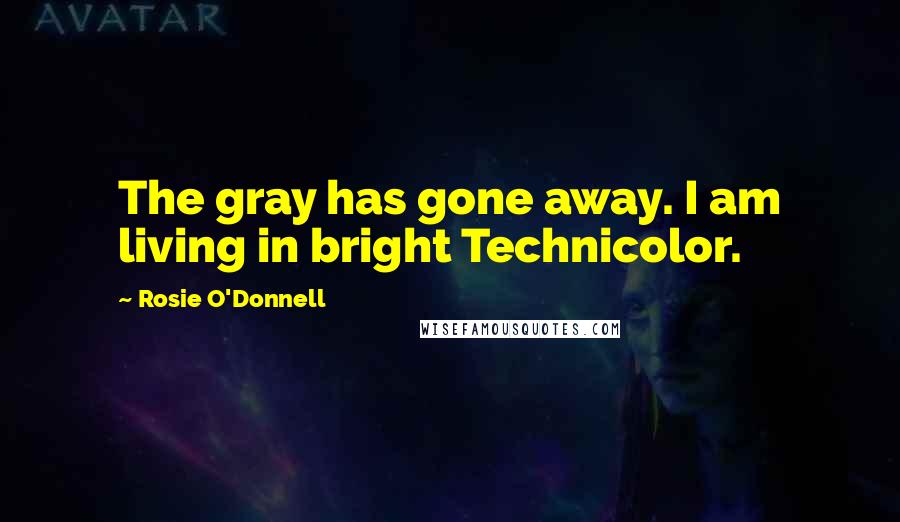 Rosie O'Donnell Quotes: The gray has gone away. I am living in bright Technicolor.